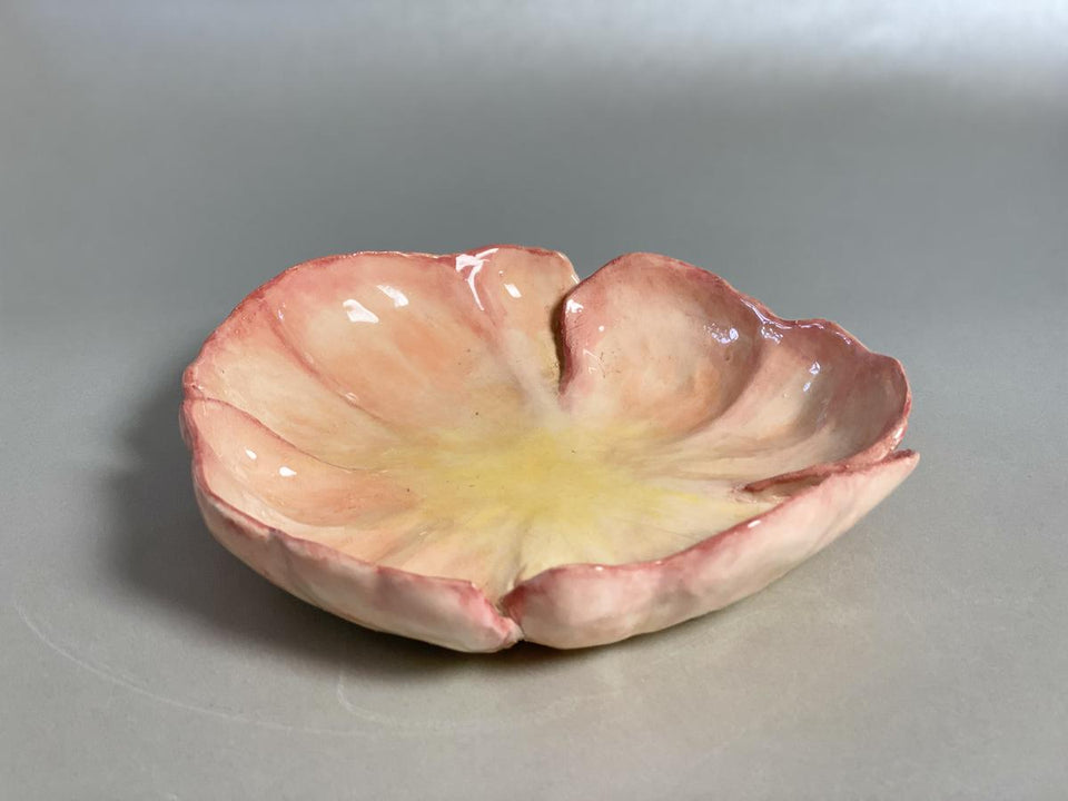 Rosa-farbene Schale